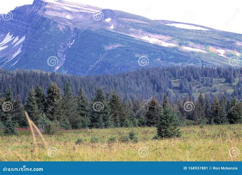 Alaska Landscape Mountains & Forest Stock Image - Image of alaskan, peninsula: 168937881