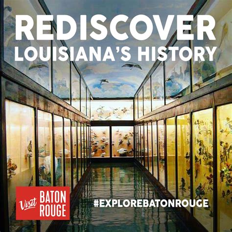 You Don’t Want to Miss These Events & Exhibitions at Baton Rouge Museums