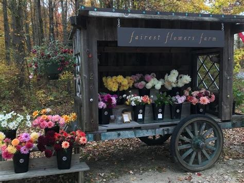 Fairest Flowers Farm - Flower Cart, Flowers, Bouquets