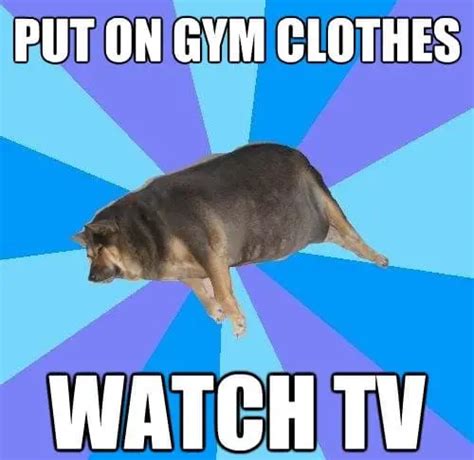 13 Hilarious Memes Related To Being Lazy For You To Enjoy In Your Lazy Time