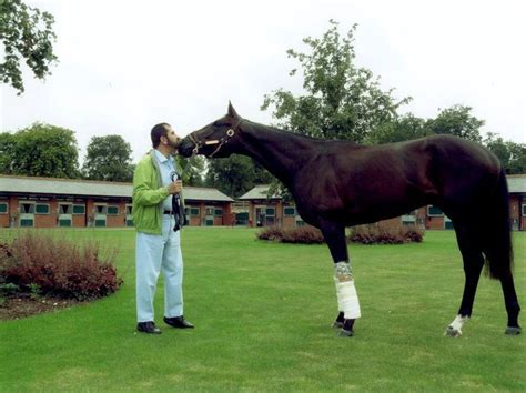 Sheikh Mohammed | Horses, Sheikh mohammed, Racing