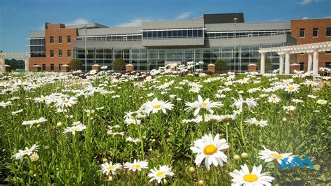 Campus Photos & Video | About UAH | UAH | The University of Alabama in ...