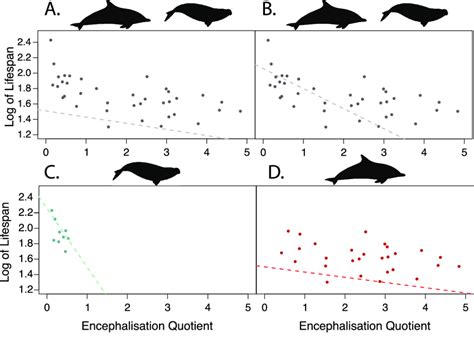 Relationship between log lifespan and encephalization quotient (EQ) for... | Download Scientific ...