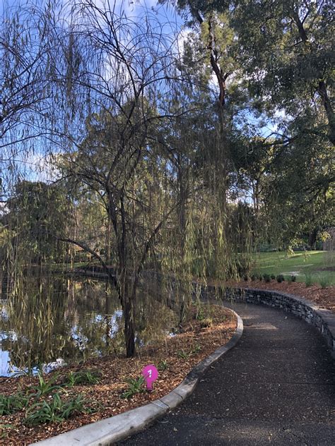 Why You Need To Visit Brisbane Botanic Gardens Mt Coot-tha