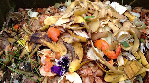 People Waste More Food If They Have the Option to Compost It | Mental Floss