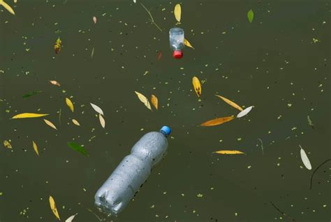 Water Pollution Solutions: 5 Simple Things You Can Do | Plastic Collectors