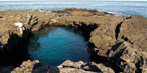 Santiago Island, Galápagos, Ecuador. Things to do. Animals - PlanetAndes