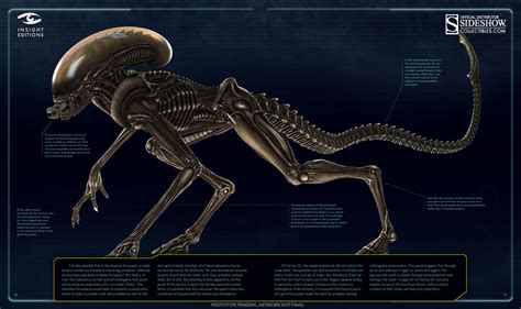 Full Grown Alien (Xenomorph) Runner-strain | Alien, Alien art, Xenomorph