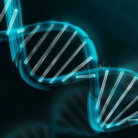 Medical Genome Initiative Launched by Top Healthcare and Research Orgs