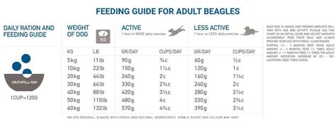 Beagle Feeding Guide: Age wise Diet Chart, Quantity and Best Food ...