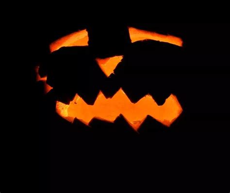 Can I sue kids for egging my house this Halloween? - Bristol Live