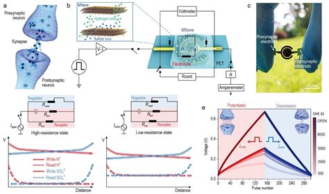 A novel integrated system of neuromorphic devices - TrendRadars