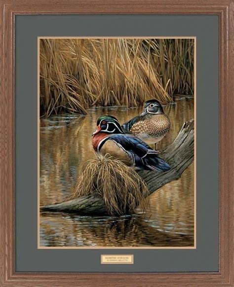 "Backwater Pair" Framed Wildlife Art Print - American Expedition | Wildlife art, Contemporary ...