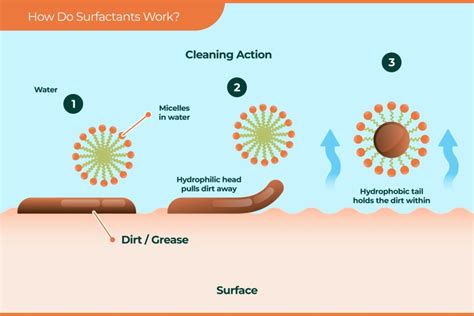 How Safe Are SLS and SLES in Soaps for You and the Environment - Musim Mas