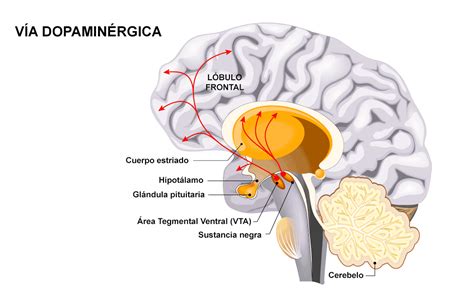 Comer para calmar los nervios: la ingesta emocional