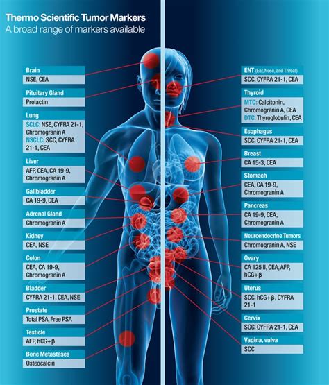 Oncology - B·R·A·H·M·S GmbH