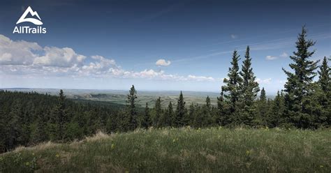 Best Trails in Cypress Hills Provincial Park - Alberta, Canada | AllTrails