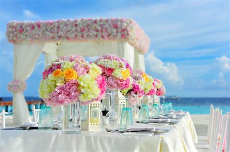 Planning A Wedding in Goa | Destination wedding in Goa