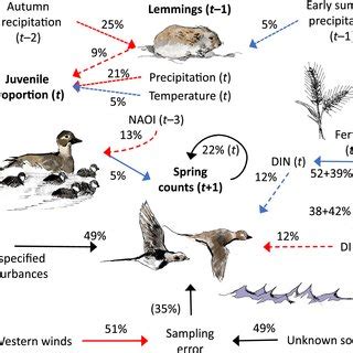 Dynamics of three lemming populations in the Western Taimyr Peninsula ...