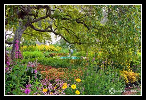 pictures of portsmouth new hampshire flower gardens - Google Search ...