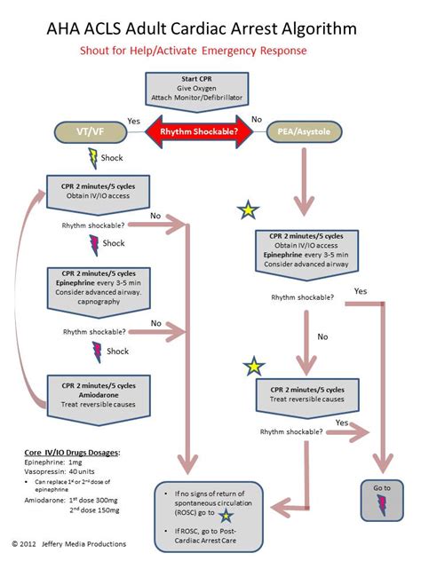 Rapid Response Team - pharmstudy