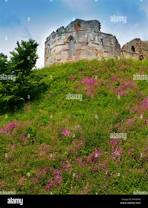 The ruins of Stafford Castle Staffordshire England UK a gothic revival ...