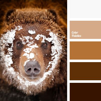 color of milk chocolate | Page 3 of 3 | Color Palette Ideas
