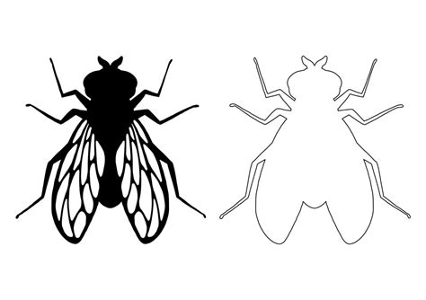 Fly insect. Black silhouette. Design element. Vector illustration isolated on white background ...