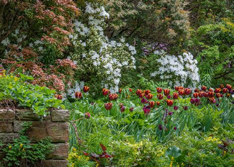 Chanticleer Garden: MELISSA CLARK PHOTOGRAPHY