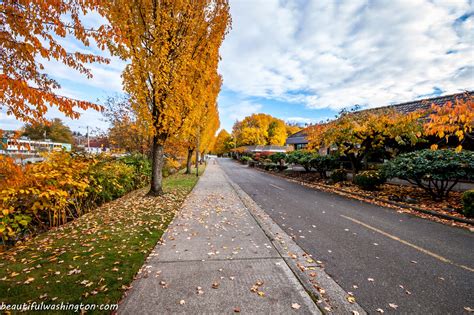 Liberty Park