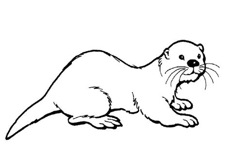 Hairy Nosed Otter Coloring Page - Free Printable Coloring Pages for Kids