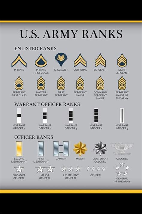 Amazon.com: United States Army Rank Chart Reference Enlisted Officer ...