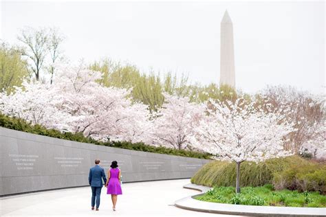 DC Cherry Blossoms Photography Session in Washington