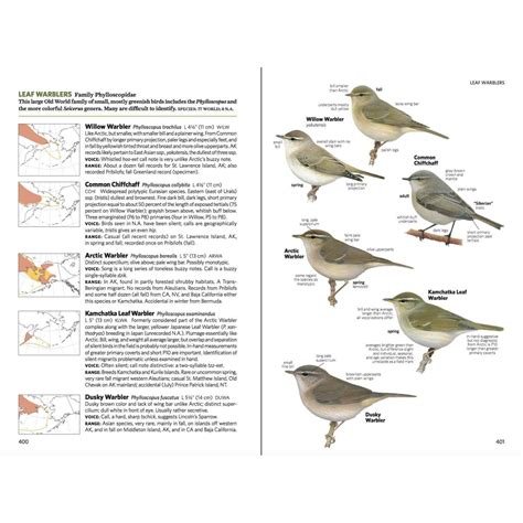 Outdoor Related Titles :: Field Guides :: Bird Identification Guides :: National Geographic ...