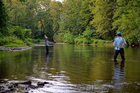 45 Acres on The Rockfish River - 🌲 Virginia Land