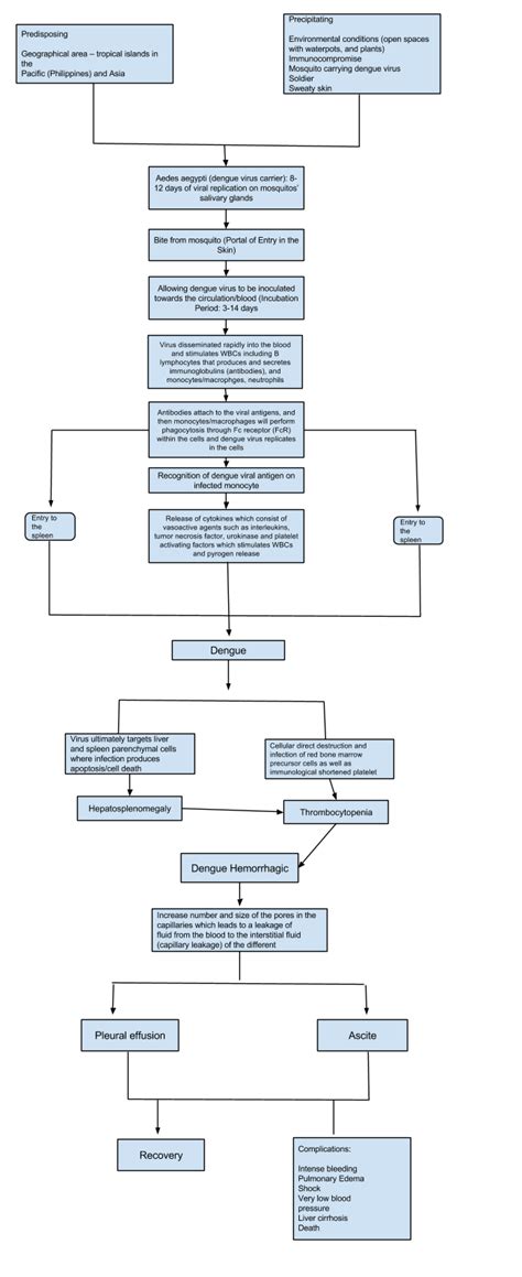 Dengue Hemorrhagic Fever - RNpedia