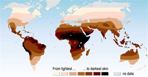 A map of the general skin color distribution around the world : r ...