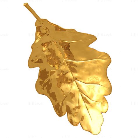 Gold leaf transparent png