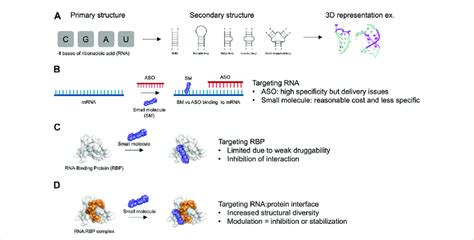 Advantages and limitations of targeting RNA and RNA-Binding Protein... | Download Scientific Diagram