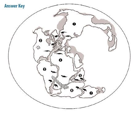 Plate Tectonics Puzzle: Activity for 4th/5th Graders | AMNH | Plate tectonics, Pangaea puzzle ...