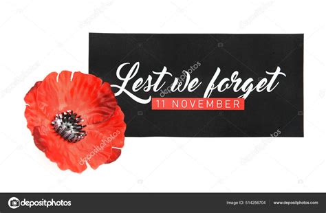 Remembrance Day Canada Red Poppy Flowers Card White Background Stock ...