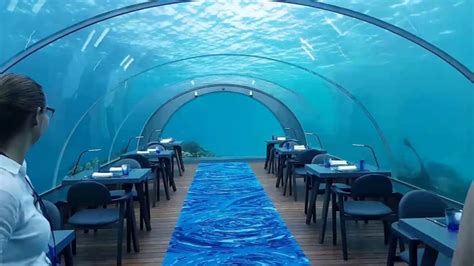 7 Amazing Underwater Restaurants In The World - Reterdeen