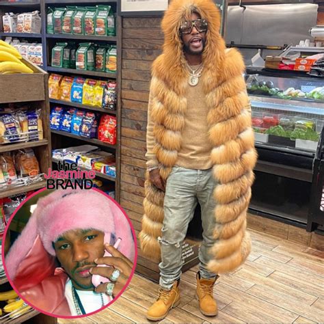 Cam’ron Sued for Using Famous Pink Fur Photo of Himself On Merch w/o ...