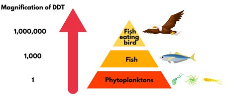 Persistent Organic Pollutants - civilspedia.com