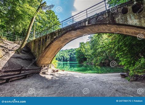 Szczecin Landscape Park in Poland Stock Image - Image of trees, poland ...