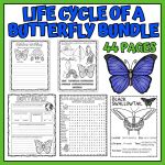 Butterfly Life Cycle Worksheet Bundle