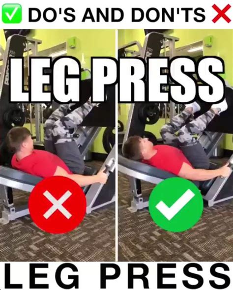 Leg Press Proper Form | Leg press, Gym tips, Exercise physiology