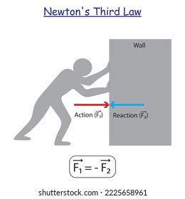 Newtons Third Law Experiment Statement Examples Stock Vector (Royalty Free) 2225658961 ...