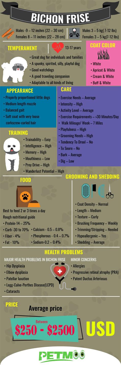 Bichon Frise Size Chart