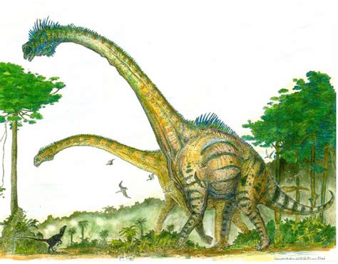 Herbivore - Dinosaur Wiki